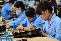 Nhiều ý kiến trái chiều quanh đề xuất tăng thời gian làm thêm, giảm giờ làm