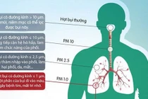 Ô nhiễm môi trường tác động đến đường hô hấp.