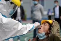 Trung Quốc tính xét nghiệm mẫu máu người Vũ Hán để tìm nguồn gốc Covid-19