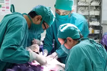 Cắt khối u tuyến thượng thận lớn cho trẻ 19 tháng tuổi