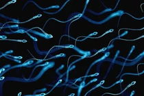 Không xuất tinh có thai được không?