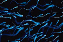 Không xuất tinh có thai được không?