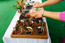 Đông y - Trà đan sâm trị thiếu máu cơ tim