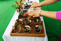 Đông y - Trà đan sâm trị thiếu máu cơ tim