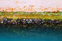 Lớp màng khí thụ động giảm ma sát và tích tụ bẩn sinh học vỏ tàu vận tải