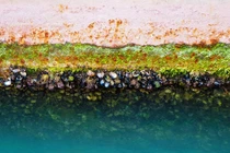 Lớp màng khí thụ động giảm ma sát và tích tụ bẩn sinh học vỏ tàu vận tải