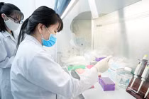 Viện Di truyền Y học xây dựng quy trình sàng lọc 25 bệnh đơn gene cho thai phụ