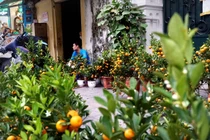 Hà Nội: Đìu hiu chợ hoa Tết!