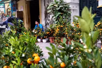 Hà Nội: Đìu hiu chợ hoa Tết!