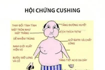 Suy tuyến thượng thận do tự dùng thuốc giảm đau 