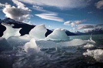 15.000 nhà khoa học cảnh báo thảm họa sắp đến với loài người