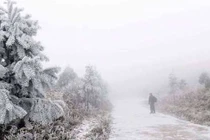 Băng giá phủ trắng đỉnh Chiêu Lầu Thi, du khách nô nức rủ nhau 'check in'