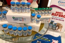 Vắc-xin dịch tả lợn châu Phi Việt Nam lưu hành thương mại giá từ 34.000 - 36.000 đồng/liều
