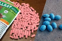 Ăn nhầm thuốc diệt chuột, em gái út tử vong, hai anh trai nguy kịch