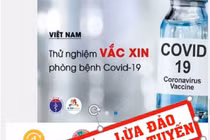 Ứng dụng giả mạo yêu cầu đăng ký mua và tiêm văcxin dịch vụ. 