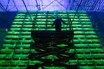 Hoạt động đào và giao dịch Bitcoin xả khí thải môi trường cực lớn