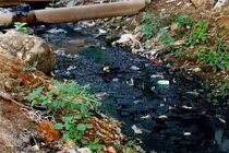 Hà Nội: Khốn khổ sống… bên cạnh kênh mương bốc mùi 