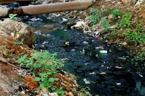 Hà Nội: Khốn khổ sống… bên cạnh kênh mương bốc mùi 