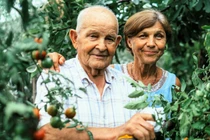 Những loại thực phẩm giúp bạn tăng tuổi thọ