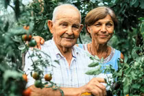 Những loại thực phẩm giúp bạn tăng tuổi thọ