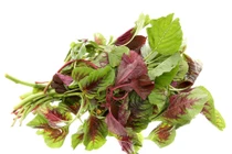 Rau dền tốt cho máu những những người này không nên ăn