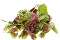 Rau dền tốt cho máu những những người này không nên ăn