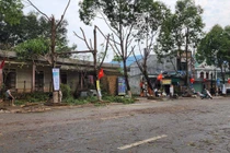 Nghệ An: Liên tiếp xảy ra lốc xoáy, mưa đá ở miền núi