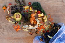 Đệm lót sinh học FreshTech giúp rau củ tươi lâu 