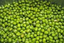 5 nhóm người nên tránh xa đậu xanh