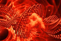 DNA nhân tạo tiêu diệt tế bào ung thư 