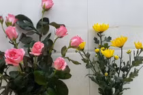 Mẹo cắm hoa tươi lâu cực kỳ đơn giản