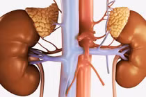 Người phụ nữ bị suy tuyến thượng thận: Bệnh nguy hiểm, phòng ngừa sao?