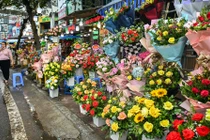 Hà Nội: Giá hoa tươi tăng mạnh trước thềm 8/3