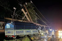 Đồng Nai: Hơn 8.600 hộ dân bị mất điện do xe tải đâm gãy trụ điện 