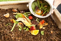 Nắm rõ những lưu ý này đảm bảo không bao giờ bị thừa thức ăn