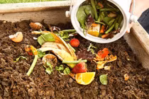 Nắm rõ những lưu ý này đảm bảo không bao giờ bị thừa thức ăn