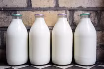 Những loại sữa phù hợp với người bệnh gout