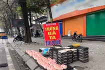 "Giải cứu trứng gà": Nguồn gốc ở đâu?