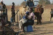 Xuất hiện virut lạ khiến 3 người tử vong trong 24 giờ