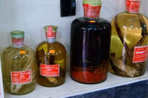 Hậu quả của việc uống rượu thuốc tự ngâm