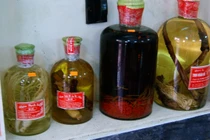 Hậu quả của việc uống rượu thuốc tự ngâm