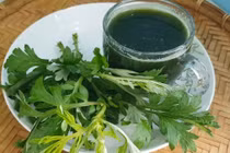 Chăm sóc da và mái tóc bằng lá ngải cứu