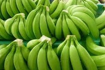 7 lợi ích tuyệt vời của chuối xanh ít người biết