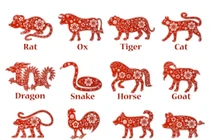 Tuần mới (24/7 - 30/7): 3 con giáp này sao tốt chiếu mệnh, vận rủi tiêu tan 