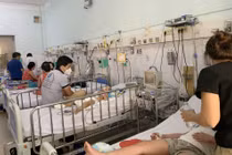 Bác sĩ chỉ rõ 3 giai đoạn của bệnh sốt xuất huyết