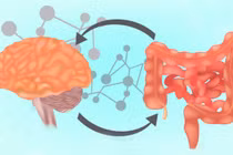 Nếu không muốn đường ruột bị tàn phá hãy hạn chế những loại thức ăn này