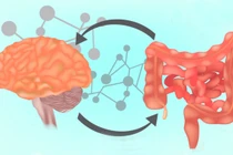 Nếu không muốn đường ruột bị tàn phá hãy hạn chế những loại thức ăn này