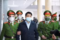 Vụ trồng cây xanh: Các bị cáo hối lộ tiền tỷ Nguyễn Đức Chung thế nào?