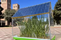 Pin mặt trời từ vật liệu hữu cơ hiệu quả với nhà nông 