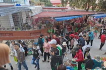 Du khách chen chân tại ngôi đền linh thiêng bậc nhất đất Cảng